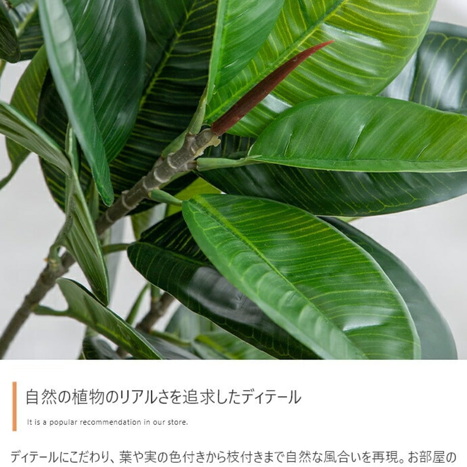678dac7aaf98d900017ca2b0