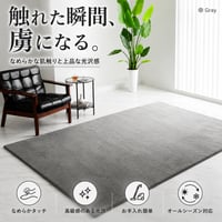 ラグ ラグマット カーペット 絨毯 洗える 北欧 韓国インテリア おしゃれ オールシーズン 滑り止め ホットカーペット対応 床暖房対応 低ホルムアルデヒド リビング ダイニング 子供部屋 一人暮らし