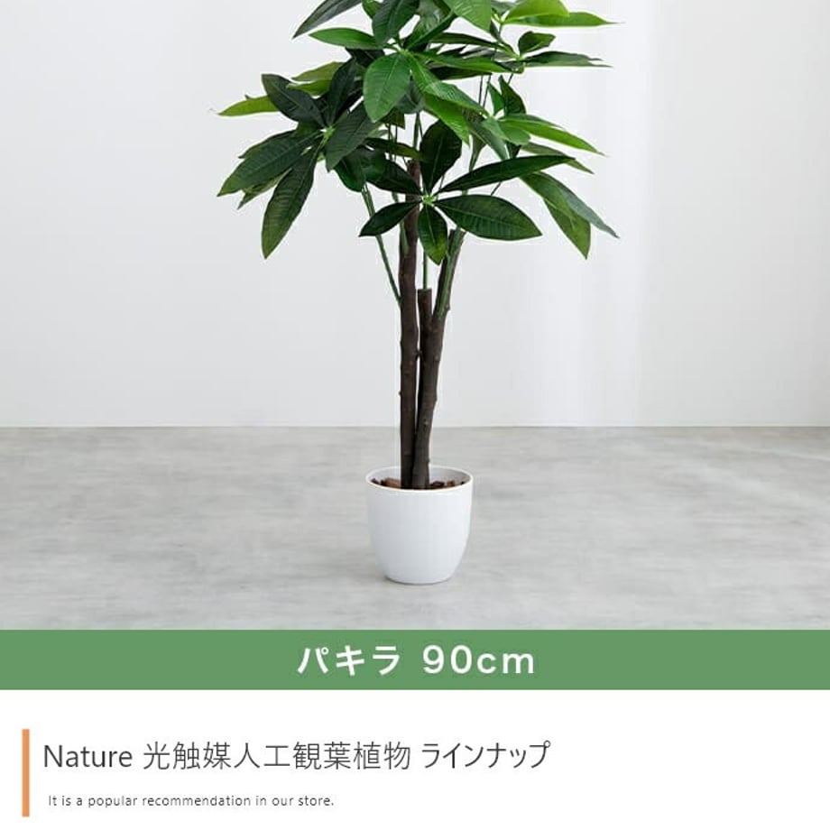 678dadfcaf98d900017ca38d