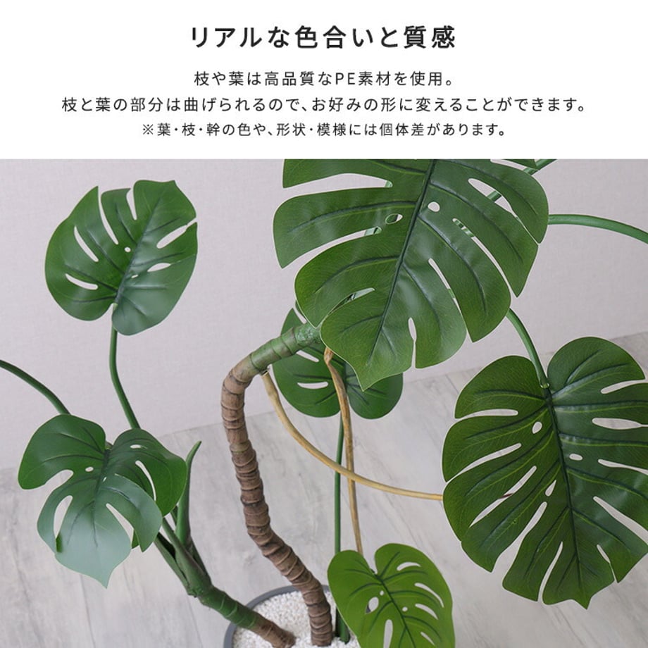 67a8343186db81000193eb44