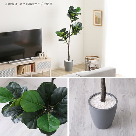 お手入れ簡単 フェイクグリーン フィカス・リラータ Sサイズ(120cm)