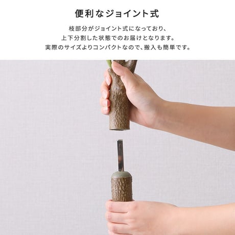お手入れ簡単 フェイクグリーン オリーブ Mサイズ(150cm)