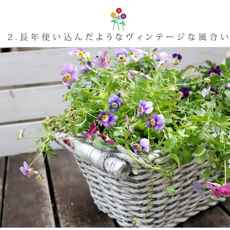 マグネシウムプランター "Old Basket" オールドバスケット コンテナガーデン ガーデンポッド プランター カゴ 鉢 プランター 鉢カバー おしゃれ 植木鉢 かご