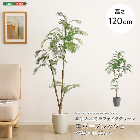 お手入れ簡単 フェイクグリーン エバーフレッシュ Sサイズ(120cm)