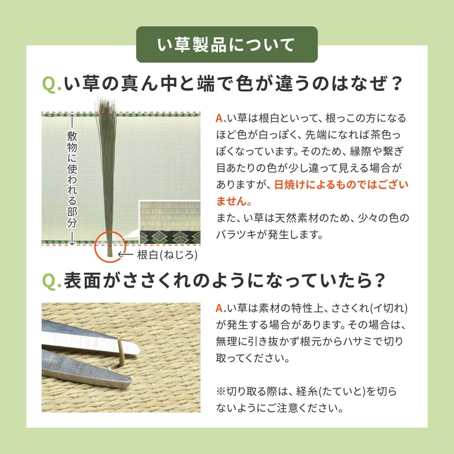 67c96a459637340001cbe817