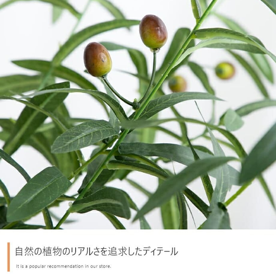 678dadfcaf98d900017ca38d