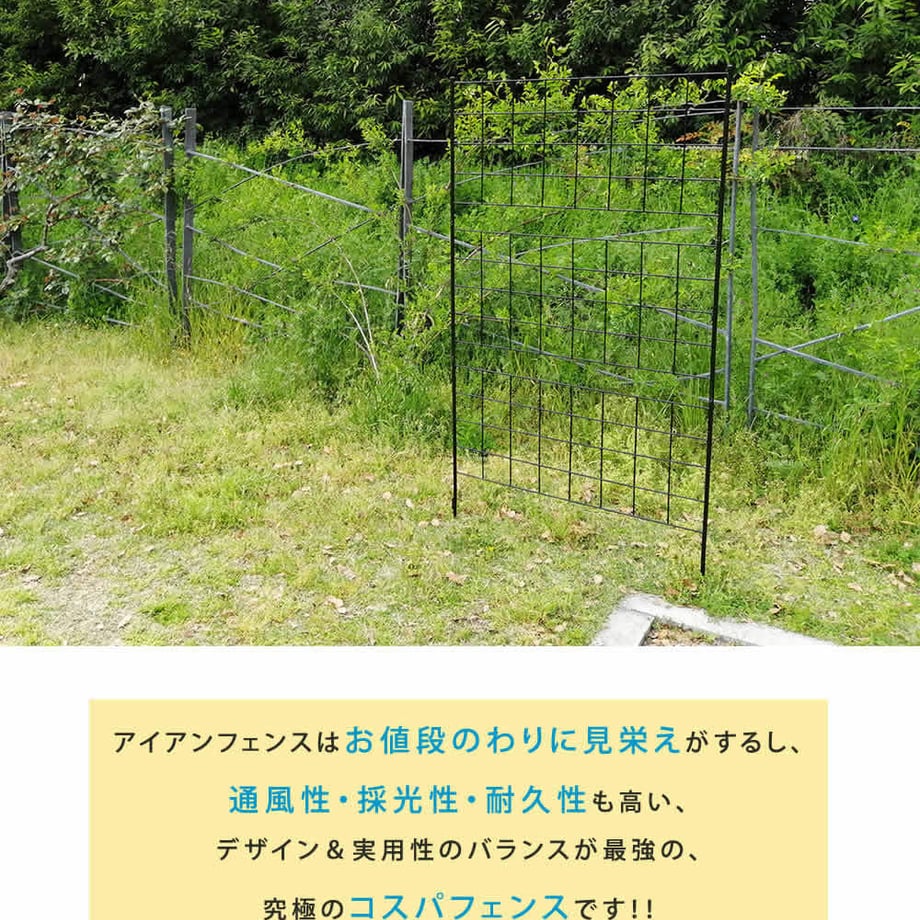 67932584db80ba0001a64ce9