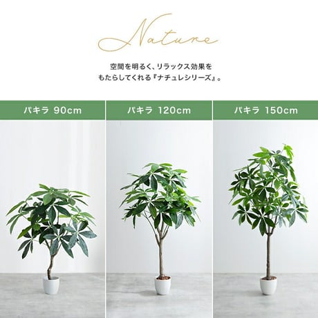 ナチュレ 観葉植物 オリーブ フェイクグリーン 人工 室内 リビング オフィス 一人暮らし 緑 光触媒 空気清浄 消臭 抗菌 防汚 ホルムアルデヒド分解 高さ150cm 造花 おし