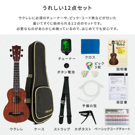 初心者でも始めやすい　ウクレレ　12点セット　21インチ(ソプラノ)