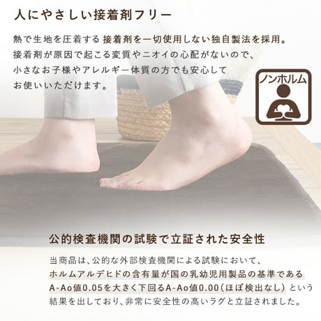 洗える玄関マット 45×65cm 【ヴィタム-Witam-】
