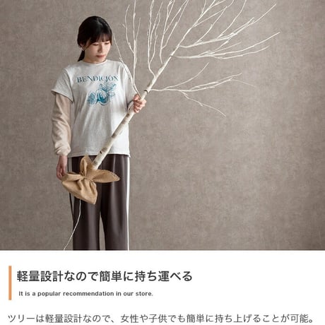 クリスマスツリー H60cm LEDライト付き 白樺風ツリー オーナメントセット Schnee シュネー ブランチツリー ミニツリー ツリー オーナメント イルミネーション 電池式