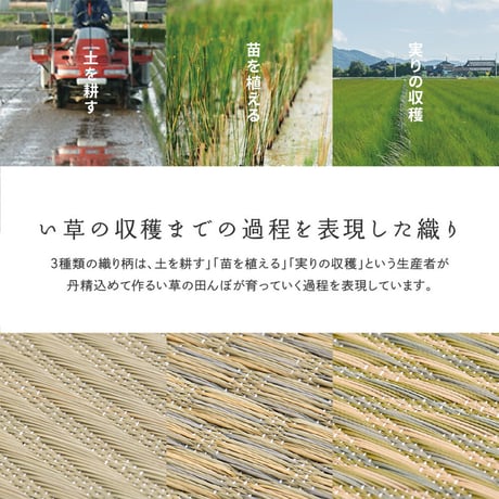 国産い草カーペット　せとのと　倉ノ戸　本間6畳