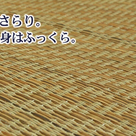 い草ボリュームラグ カーペット コルト 200×200cm