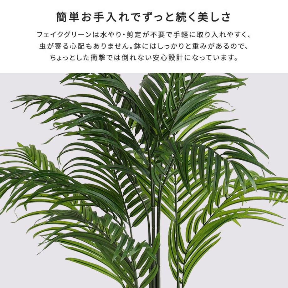 67a69801248f8c0001778539