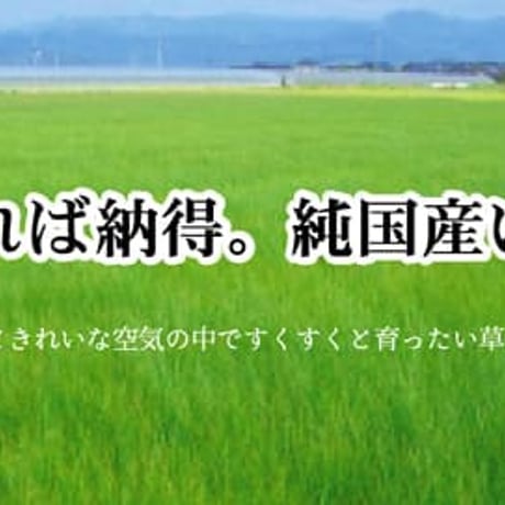 い草 上敷 カーペット F竹 176×176cm 江戸間2畳