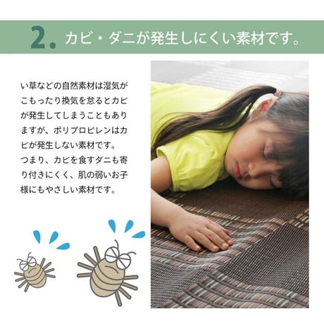 ポリプロピレンカーペット カーペット ウィード 261×352cm 江戸間6畳