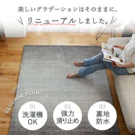 リビングマット 室内 おしゃれ 洗える グラデーション 滑り止め付き 洗える玄関マット 洗濯機で洗える マット 小さめ 小さい ラグ 滑らない 明るい オシャレ 小さいサイズ ふわふわ 防水 グリー