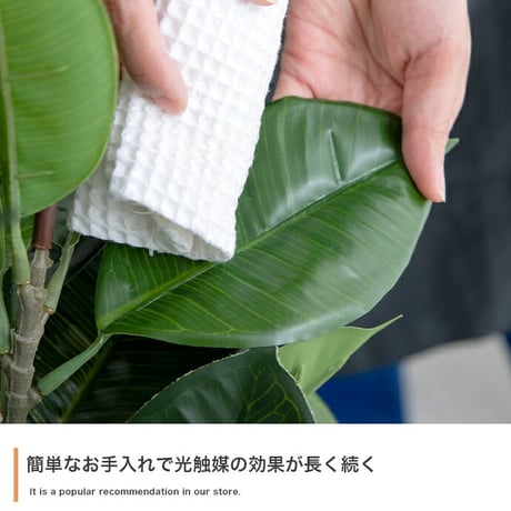 ナチュレ Nature パキラ 観葉植物 人工 フェイクグリーン 室内 リビング オフィス 一人暮らし 緑 インテリア 光触媒 空気清浄 消臭 抗菌 防汚 ホルムアルデヒド分解 高