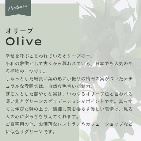 フェイクグリーン 大型 抗菌 消臭 観葉植物 フェイク 光触媒 人工観葉植物 オリーブ 造花 おしゃれ お祝い 鉢 植木 葉 枝 木 室内 玄関 オフィス 爽やか シンプル＜フェイクグリーン / オ