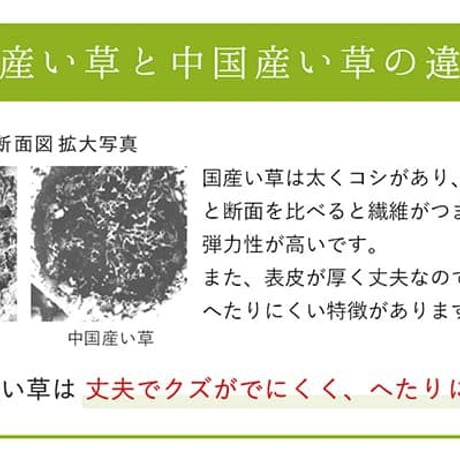 い草ラグ カーペット モーニング 191×250cm