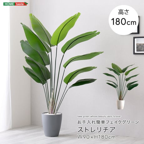 お手入れ簡単 フェイクグリーン ストレリチア Lサイズ(180cm)