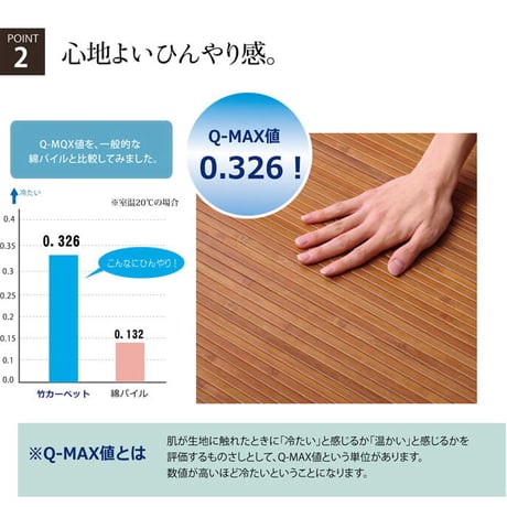 玄関マット マット 竹王 60×90cm