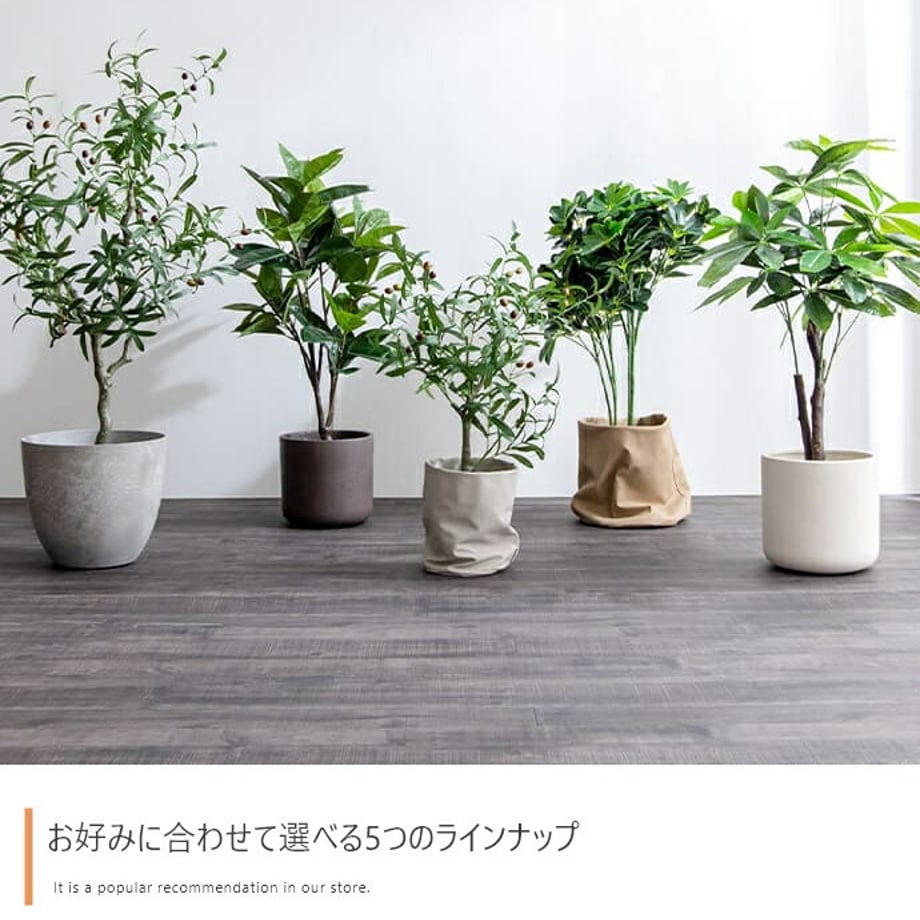 678dae6caf98d900017ca3cc