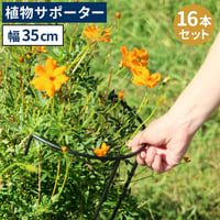 アイアン製植物サポーター 幅35 16本セット IF-N0048-16P 奥行18 高さ65 ハーフリング 倒れ防止 広がり抑制 スチール 鉄製 支柱 園芸 植物サポート フラワーサポート 菜園 花壇