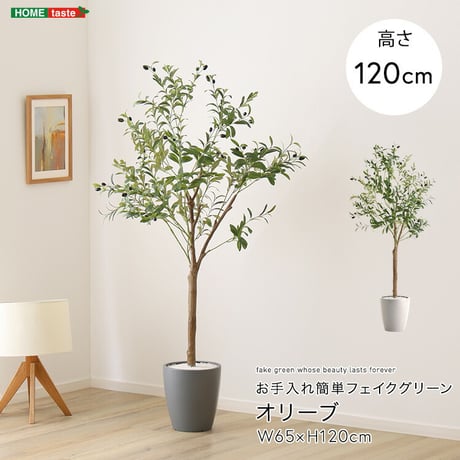 お手入れ簡単 フェイクグリーン オリーブ Sサイズ(120cm)