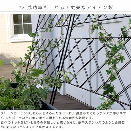 アイアン製グリーンカーテン アーガイルフェンス アイアン グリーンフェンス ゴーヤ 薔薇 バラ 朝顔 庭 ベランダ ガーデニング 枠 柵 仕切り 目隠し 境目 アンティ