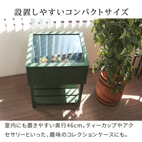 木製窓付グリーンハウス （温室） 「OWN」（オウン） GRH45DGR　温室 木製 ウッド 簡易 観葉植物 多肉植物 ガーデン 園芸 おしゃれ 飼育 ケース 保温