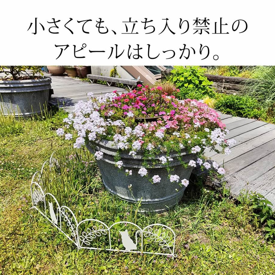 67933be64b7d390001868184