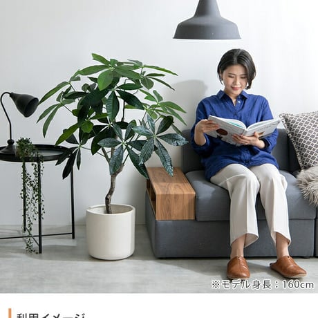 ナチュレ Nature パキラ 観葉植物 人工 フェイクグリーン 室内 リビング オフィス 一人暮らし 緑 インテリア 光触媒 空気清浄 消臭 抗菌 防汚 ホルムアルデヒド分解 高