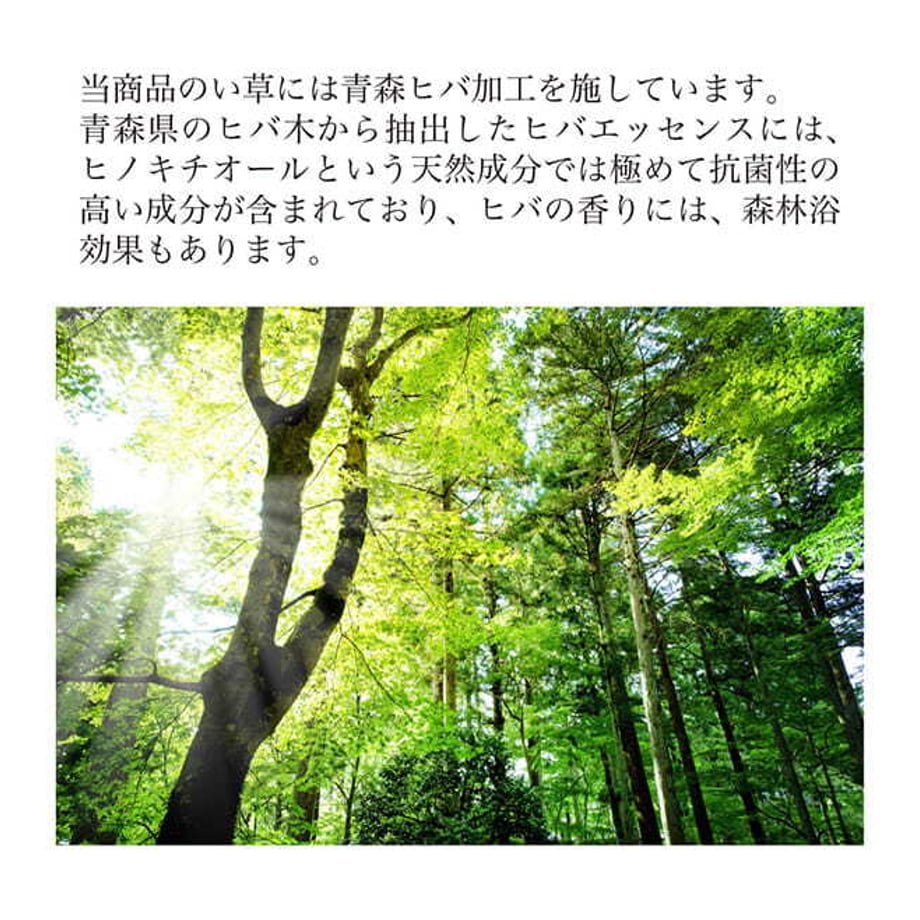 67c0f5f55ab45e0001e7047a