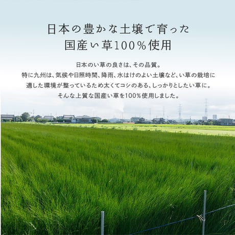 国産い草カーペット　せとのと　倉ノ戸　本間4.5畳