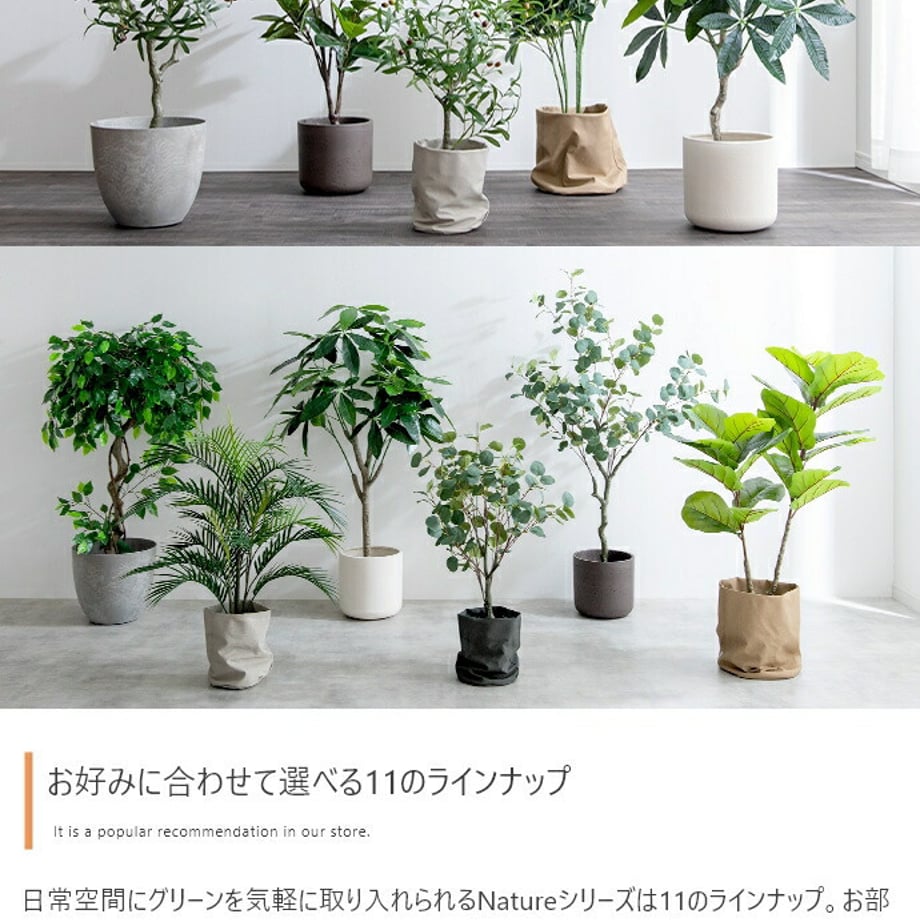 678dac58af98d900017ca29b