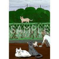 捨て猫