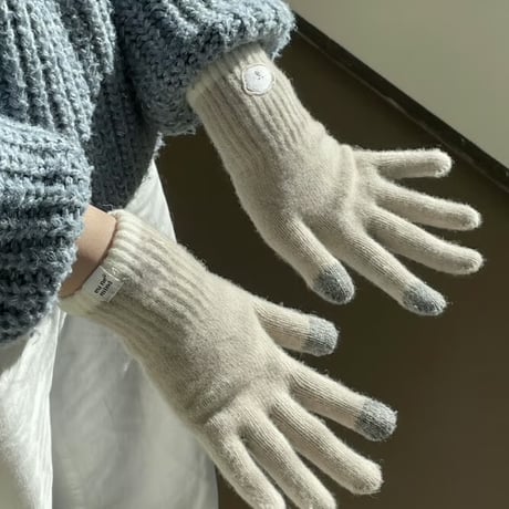 winter touch gloves ver.2