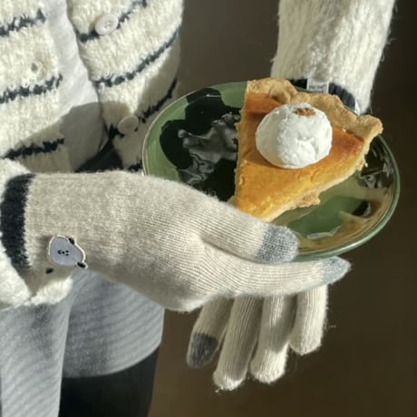 winter touch gloves ver.2