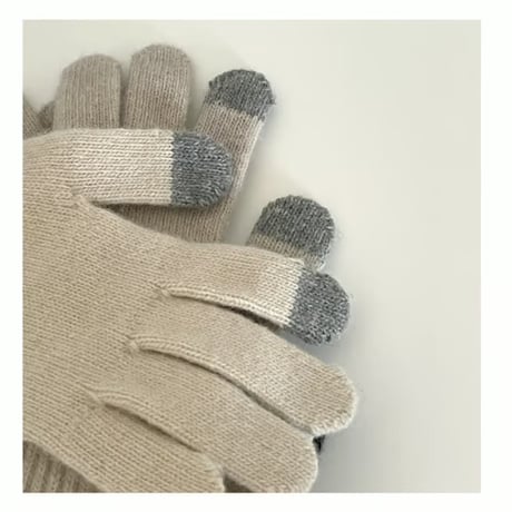 winter touch gloves ver.2