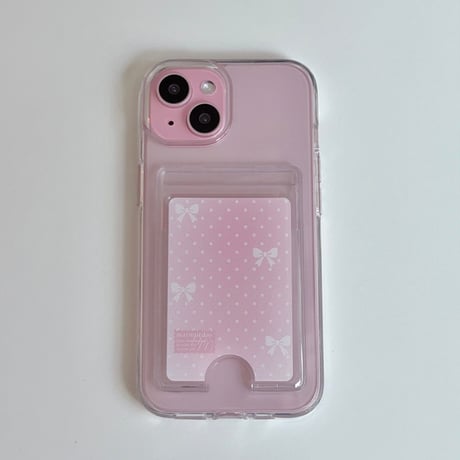 Transparent Card Pocket Case Mint ribbon Dot