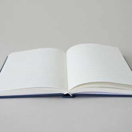 Rayon de Soleil Diary Daily