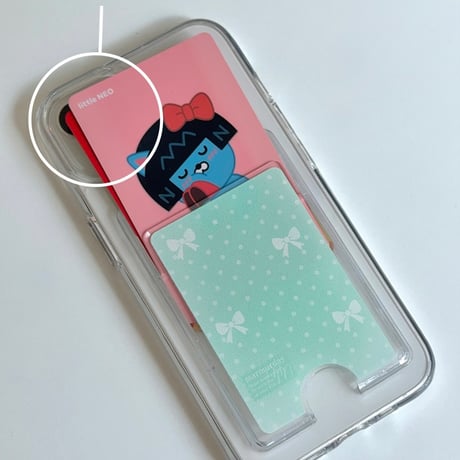 Transparent Card Pocket Case Mint ribbon Dot