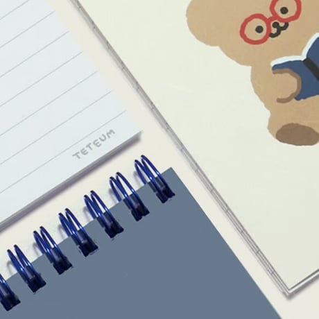 MINI SPRING NOTE