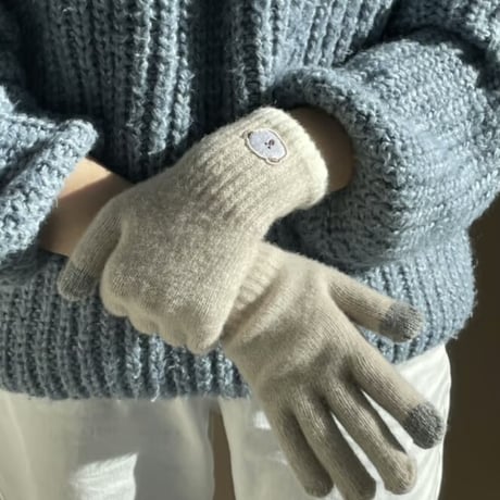 winter touch gloves ver.2
