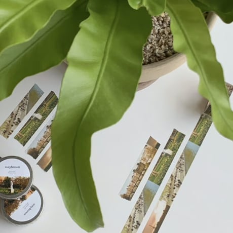 PARIS FILM masking tape
