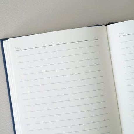 Rayon de Soleil Diary Daily