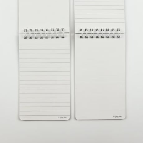 NEW MINI SPRING NOTE
