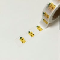 Hawaian Masking tape