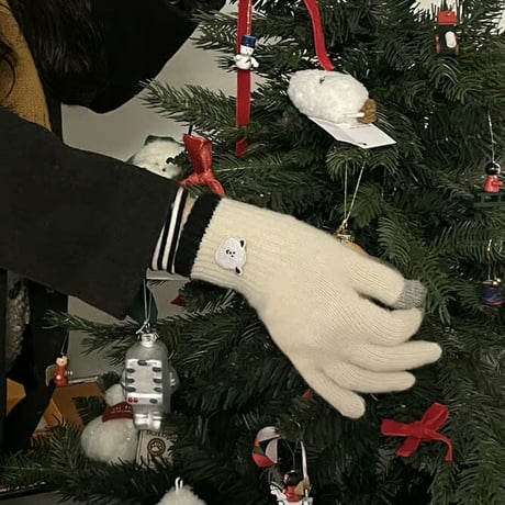 winter touch gloves ver.2